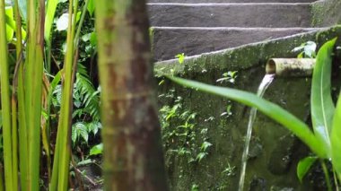 Borudan akan su bambu tüpüne dökülüyor ve tropikal bambu ritimleri çalıyor.