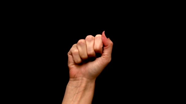 Weibliche Handfläche Mit Schwarzem Nagellack Der Ein Grünes Blatt Auf — Stockvideo