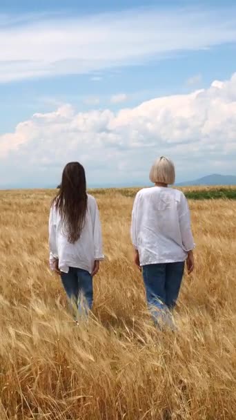 Dwie Dziewczyny Białych Koszulach Dżinsach Spacerujące Polu Żyta Wietrzny Dzień — Wideo stockowe