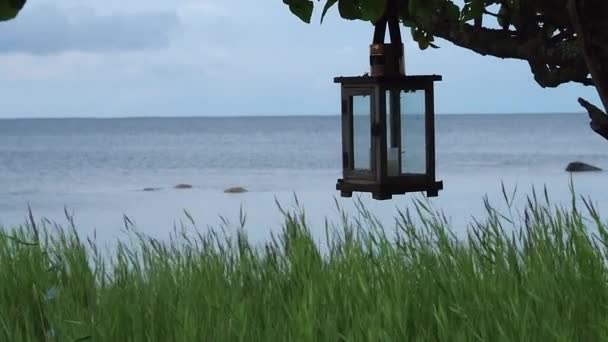 Deniz Kıyısındaki Ağaçta Bir Mum Feneri — Stok video