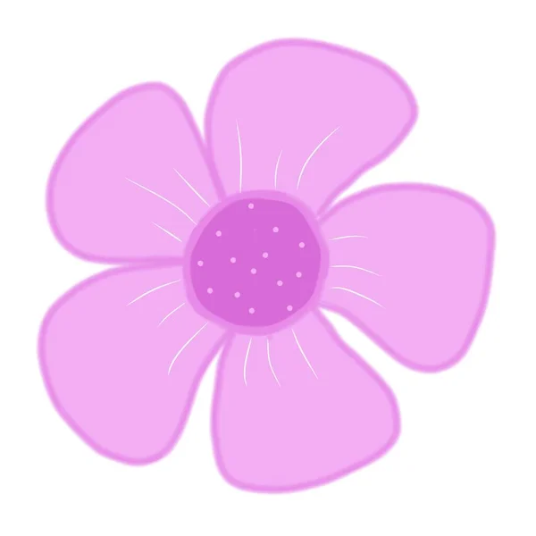 Квітка Рожева Темно Рожева Тичинка — стокове фото