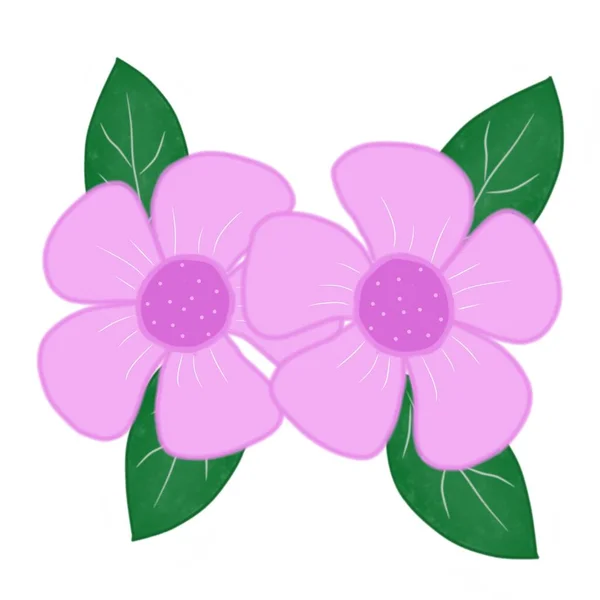 Малювання Рожевого Кольору Супроводжується Зеленим Листям — стокове фото