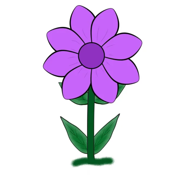 Lila Blommor Med Gröna Blad Kan Användas För Olika Illustrationer — Stockfoto