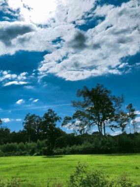 Bu yaz ve güzel doğa.