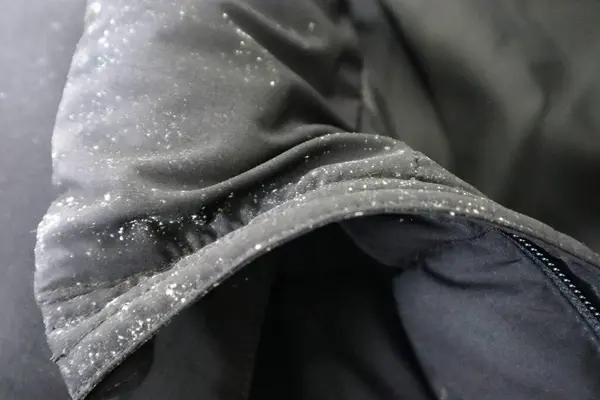 Üzerinde küf olan siyah bir ceketin yakın çekimi.