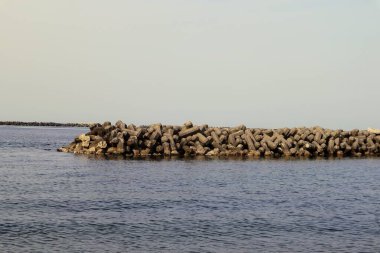 Baharda Japon deniz manzarası