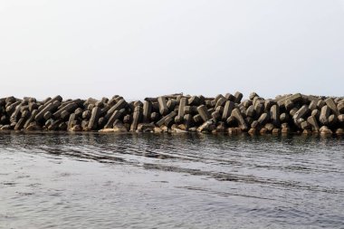 Baharda Japon deniz manzarası
