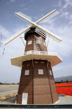 Japon yel değirmenlerine yakın çekim