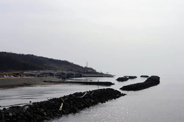 Baharda Japon deniz manzarası