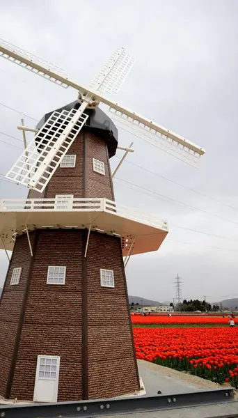 Japon yel değirmenlerine yakın çekim