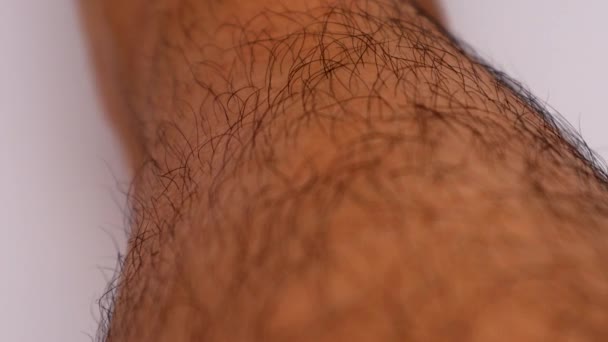 Haarige Japanische Männliche Beine — Stockvideo