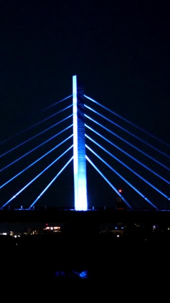 Paisaje Puentes Japoneses Iluminados — Vídeo de stock