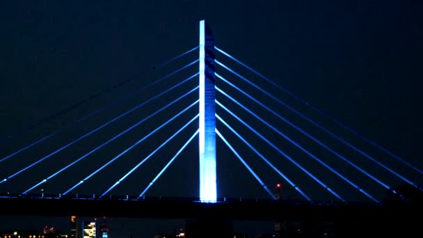 Paisaje Puentes Japoneses Iluminados — Vídeo de stock