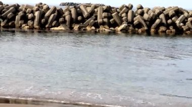 Baharda Japon deniz manzarası