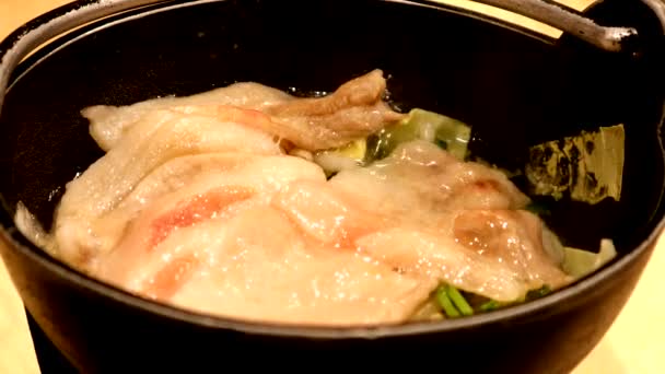 Japanese Hot Pot Dish Being Simmered — Stock Video