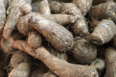 Bir sürü taro yakın plan.