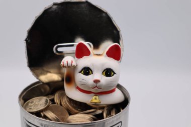 Bir kumbara dolusu bozuk para ve bir kedi.