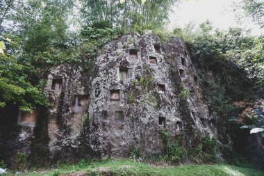 Cenaze uçurumu ormanın ortasında. Güney Sulawesi 'nin Toraja bölgesi..