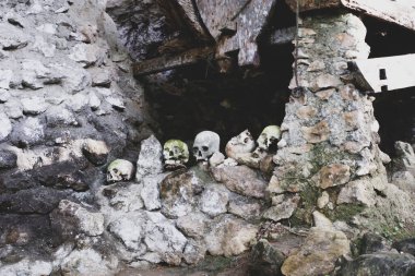 Londa Antik Mezarlığı 'ndaki insan kafatası. Kafatası ve tabut yığınları mağaralara ya da uçurumlara konur. Toraja 'nın mağaralarda ve kaya oyuklarında ceset depolama geleneği vardır. Turistik bir yer haline geldi..