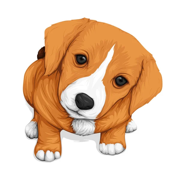 Sana bakan şirin köpek yavrusunun vektör çizimi logon, maskotun, posterin ve maketin için detaylı vektör tasarım değeri.
