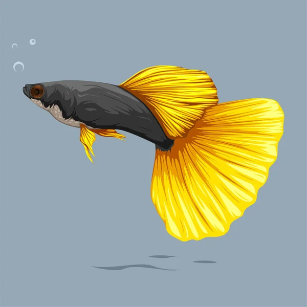 Vektor Ilustrasi Ikan Guppy Kuning Dengan Gelembung Sederhana Depannya Terisolasi - Stok Vektor