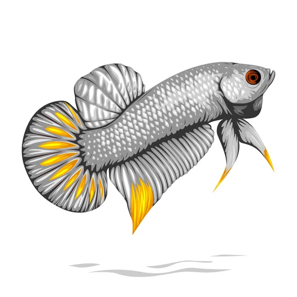 Vektor Ikan Betta Detail Dengan Sisik Putih Dan Setengah Sirip - Stok Vektor