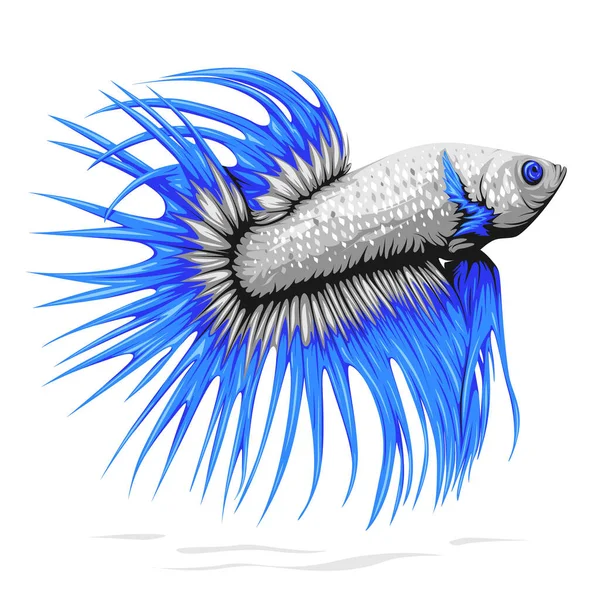 Vektor Ilustrasi Ikan Betta Ekor Mahkota Dengan Sisik Putih Dan - Stok Vektor