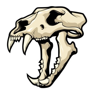 Ayrıntılı kaplan başı kemiği vektörü beyaz arkaplanda izole edildi