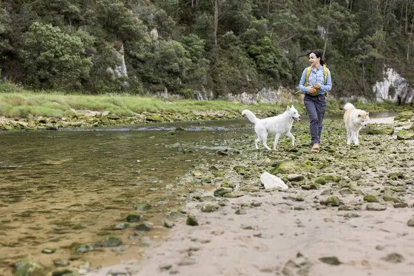Ung Vandrare Kvinna Promenader Bergen Vid Floden Med Sina Hundar — Stockfoto