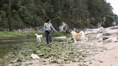 Genç yürüyüşçü kadın köpekleriyle dağlarda yürüyor.