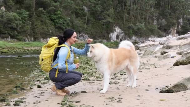 Молодая Взрослая Женщина Гуляющая Своей Собакой Горах Останавливается Погладить — стоковое видео