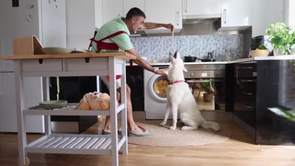 Hombre Adulto Feliz Tiro Ancho Cocina Jugando Con Perro Alimentándolo — Vídeo de stock