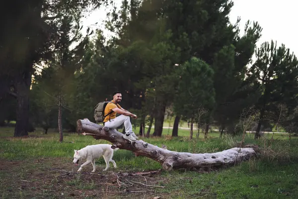 Adult Man Backpacker Hiking Sitting Tree Trunk His Dog — Stock Photo, Image
