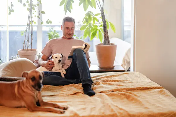 man reading in his bed with dogs
