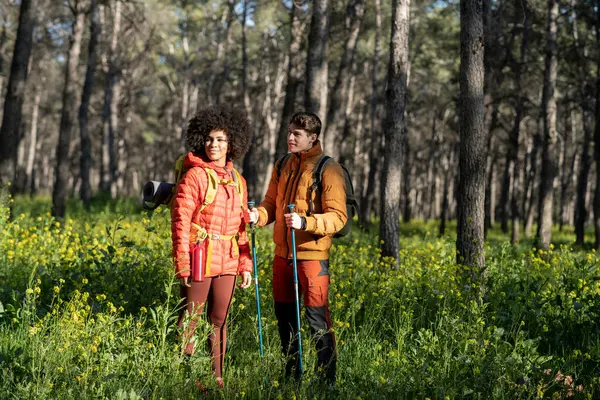 Multiethnic Couple Enjoying Forest View While Trekking — Stock Photo, Image