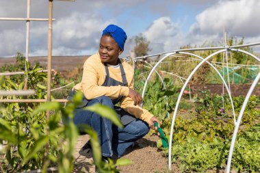 Genç bir kadın güneşli bir günde yemyeşil organik bahçe yataklarıyla ilgilenir..