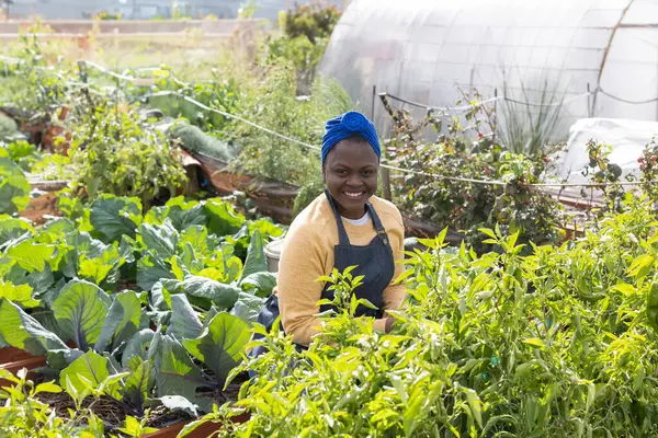 放射性の若い農家は彼女の緑豊かな温室の植物と働くことを楽しんでいます — ストック写真