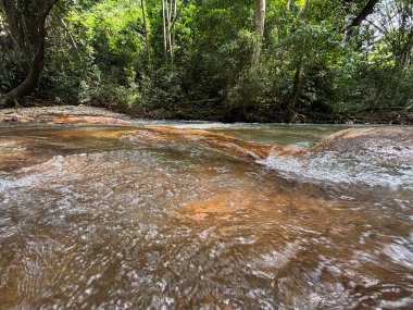 Şelale arkaplan resimleri doğal ve büyüleyici
