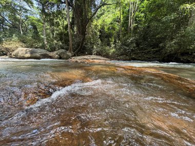 Şelale arkaplan resimleri doğal ve büyüleyici