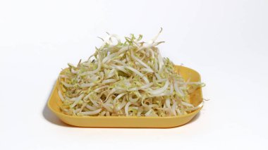 Taze fasulye filizi ya da Tauge pişmeye hazır beyaz bir arka planda izole edilmiş..