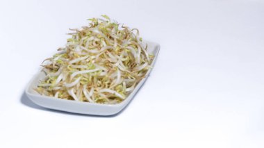 Taze fasulye filizi ya da Tauge pişmeye hazır beyaz bir arka planda izole edilmiş..