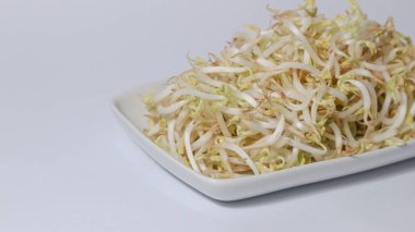 Taze fasulye filizi ya da Tauge pişmeye hazır beyaz bir arka planda izole edilmiş..