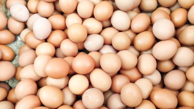 Tavuk yumurtaları, yakın plan, taze çiğ yumurta yemek için hazır.