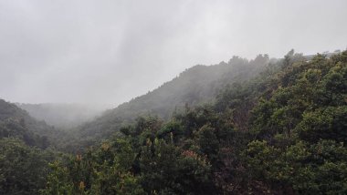 Tangkuban Dağı Perahu Dağı, Tangkuban Perahu Krateri, Lembang, Bandung, Batı Java, Endonezya 'da aktif bir volkan