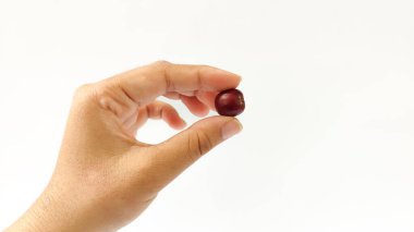 Endonezya Arabika kahve ağacı, Curup Bengkulu 'nun en iyi kahvesi.