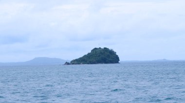 Kelebek Kestane Bob, ben salata, çiftleşme, yeşil arka plan.