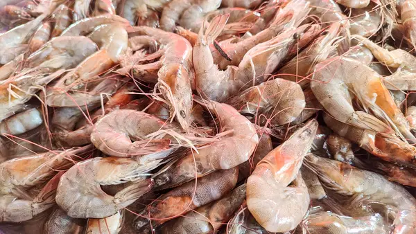 Küçük karides, karides, har chye veya kullan pazarda satılıyor