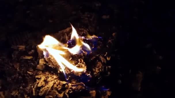 Fuego Leña Por Noche Actividad Fogata — Vídeos de Stock