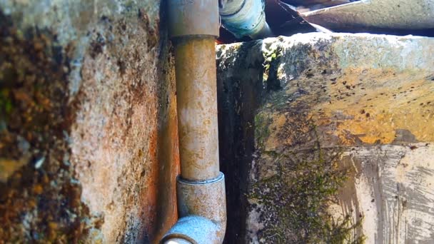 水滴从管子里流了出来 靠近有苔藓墙的建筑物 — 图库视频影像