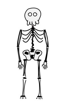 El çizimi İskelet Çizimi. Bu resimde stilize edilmiş, basit bir iskelet, eğlenceli bir tasarıma sahip, eğitici amaçlar için mükemmel..
